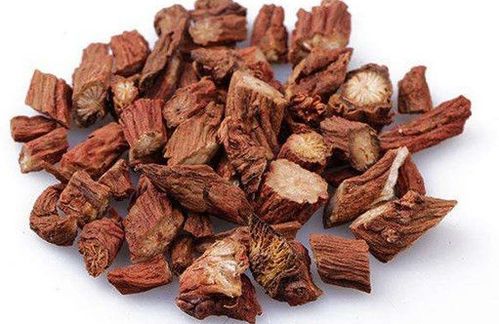 “丑丹参”比“铜钱丹参”梗受采购商喜爱