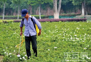 四、 浇水注意事项