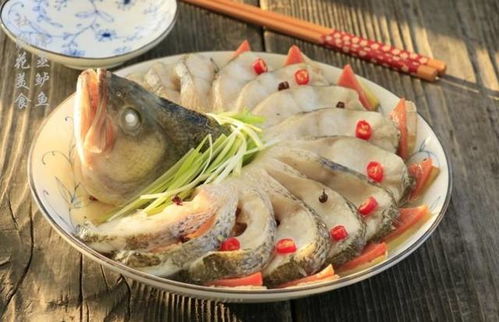 福鼎鲈鱼文化节开幕，探寻鲈鱼文化底蕴