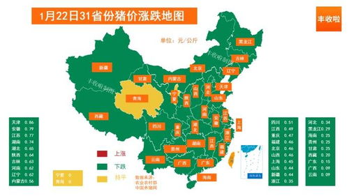 2026年8月22日海南外三元生猪价格是多少？