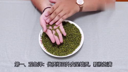 绿豆快速种植，秘诀是什么