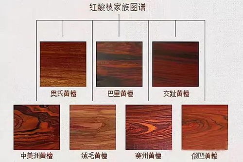 国标红木主要包括哪些木材？