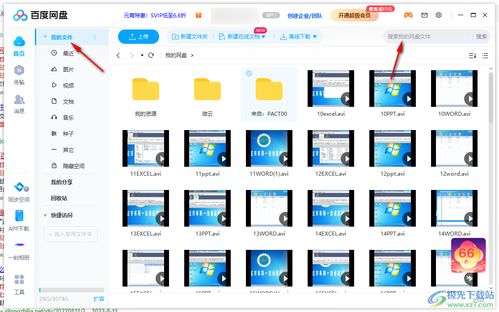 自然文化：树木背后的故事