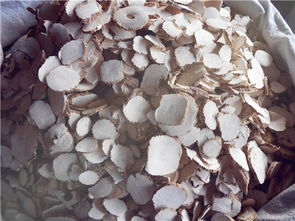 白芷种子一般50—60元一斤（一）选地整地