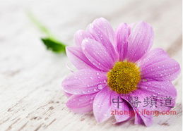 消肿解毒， 健康生活小助手