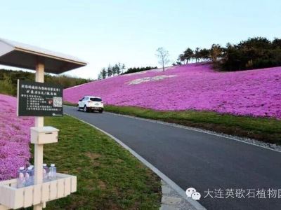 衙门责令英歌石植物园拆除在非法占用的土地上新建的建筑物和其他设施，恢复土地原状。不过衙门并非要彻底拆除英歌石植物园的全bu。