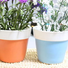 色彩与纹理，美化环境