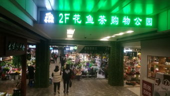 厦门花鸟鱼虫市场有哪些值得一逛？