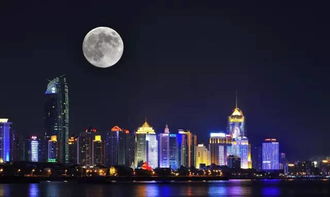 郑州赏月季，月圆花好何处寻？