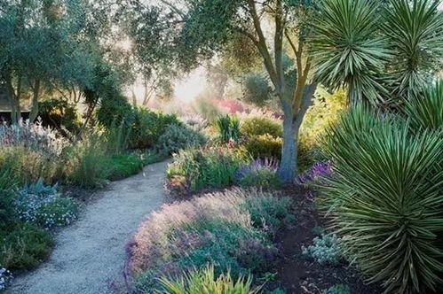 呼和浩特气候挑战与植物选择