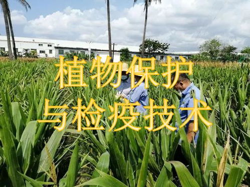 中国林科院：花草树木的守护者， 生态建设的推动者