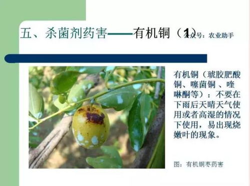 其他农药，也Neng和吡虫啉混用？