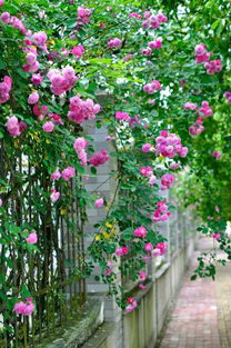 温度问题， 不可忽视