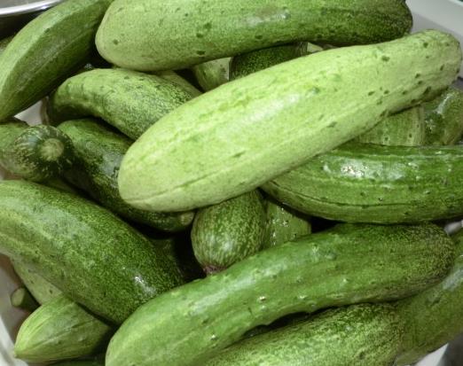 黄瓜保鲜技巧：简易五步贮藏法，花卉也能延长鲜度！