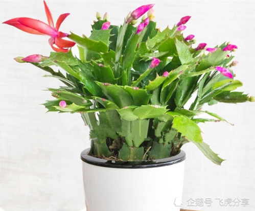 施肥浇水，有讲究