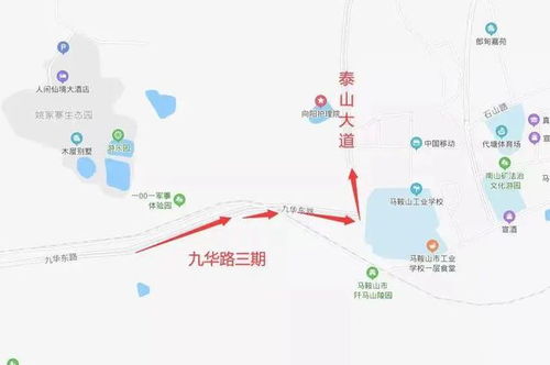 盘点“彼岸花”，这些禁忌冷知识你知道吗