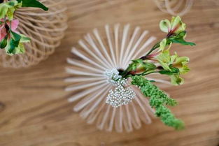 书法家从自然元素中汲取灵感， 创作具有动态美感的作品