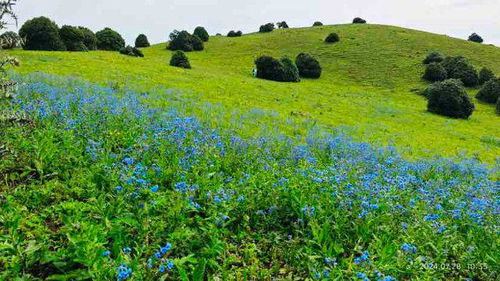 第一步：选对装备