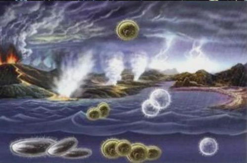 应对挑战， 保护未来