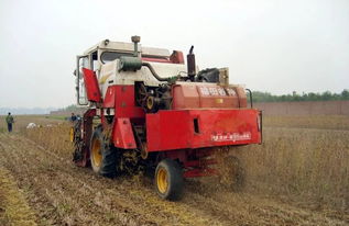 大豆开花期使用杀虫剂是否安全，会不会影响大豆的正常授粉？