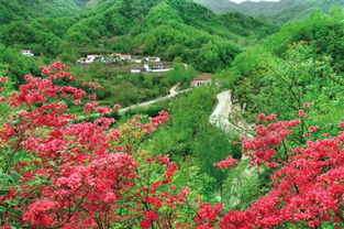 林+N生态扶贫， 成效显著