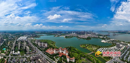 江西五年人工造林成果丰硕