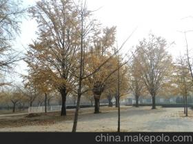 价格波动：影响因素大揭秘