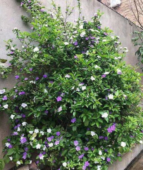 温度定时炸弹：早种1周多花800元