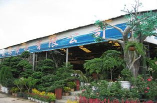 花卉市场招工：是日常花卉养护和销售工作吗？