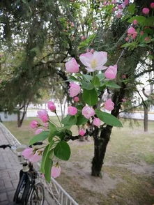 不发芽怎么办？提高温度是关键