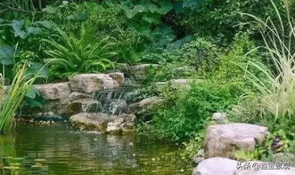 庭院石头摆放的艺术与风水