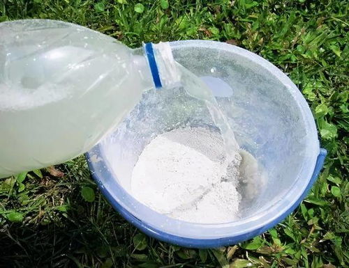 如何正确防治红蜘蛛