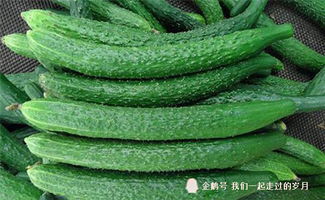 黄瓜：清脆爽口，解暑降温