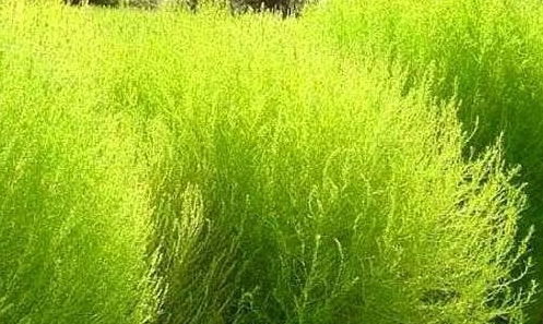 发根：寻找支撑点