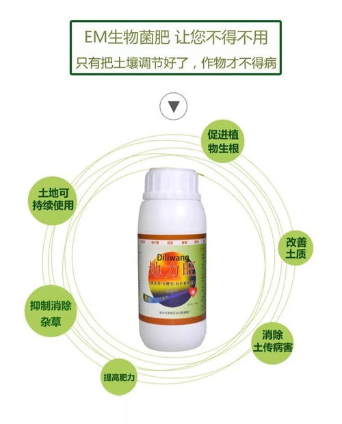 茄子绵疫病防治，苯醚甲环唑的效果如何？