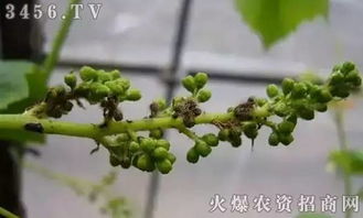 防治方法：防范为主， 综合防治