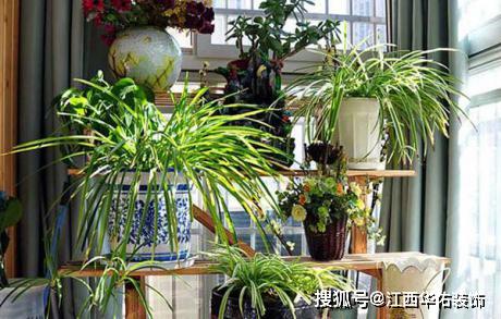 阳台养花的好处，你了解多少那个？