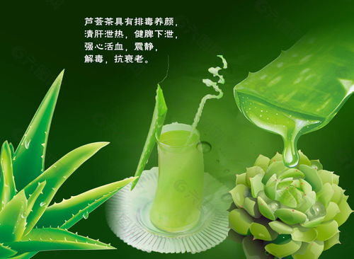 芦荟专用肥，养出健康芦荟！