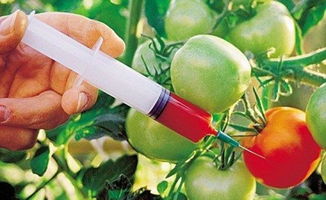 转基因食品与农药使用：一场辩论的开始