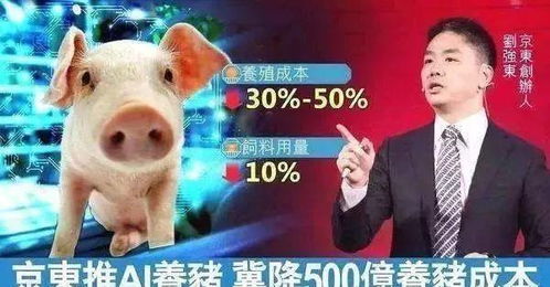 不掌握马云智慧，养猪也难致富