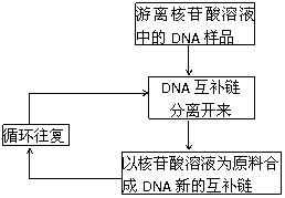 害虫抗药性的演变之路