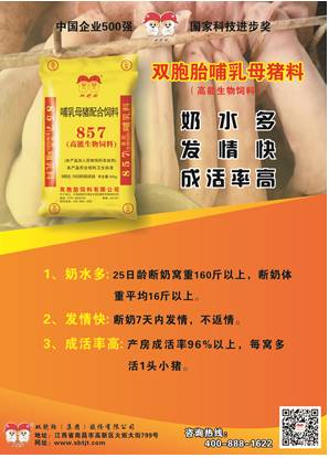 2026年美国猪饲料排行榜中，全国猪饲料销量排行第一的品牌是哪个？