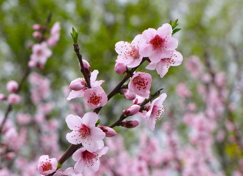 先说点注意事项吧