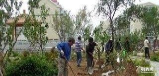 厂区绿化，提升企业形象