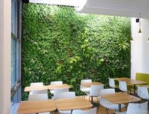 护坡绿化效果图展示