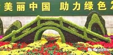 “中国苗木交易网，百万苗木