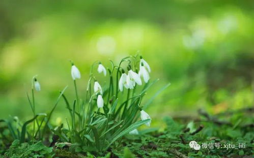 允许试错：探索欲的萌芽