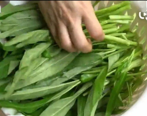 农药残留蔬菜多久后食用安全？