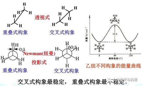 反应的神奇过程