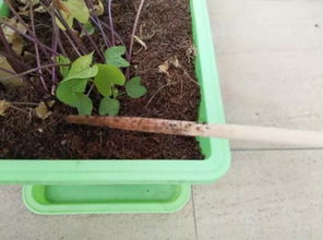 掂一掂，重量变化告诉你